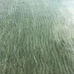 калипсо у моря 1 линия Appartamento *