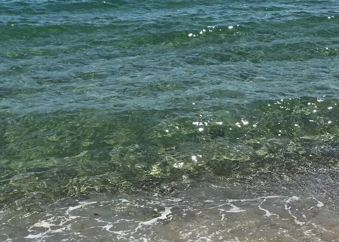 калипсо у моря 1 линия 아파트