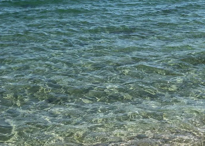 калипсо у моря 1 линия 아파트 *