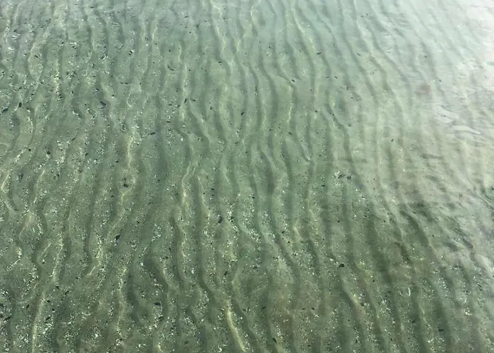 калипсо у моря 1 линия 아파트 *