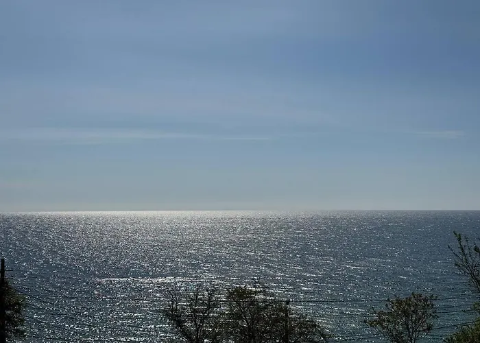 калипсо у моря 1 линия 오데사